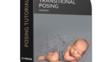 learn transitional newborn posing with kelly brown
