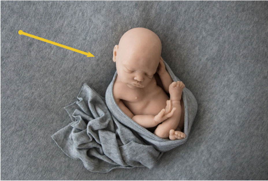 Direction of Light with Newborn Posing