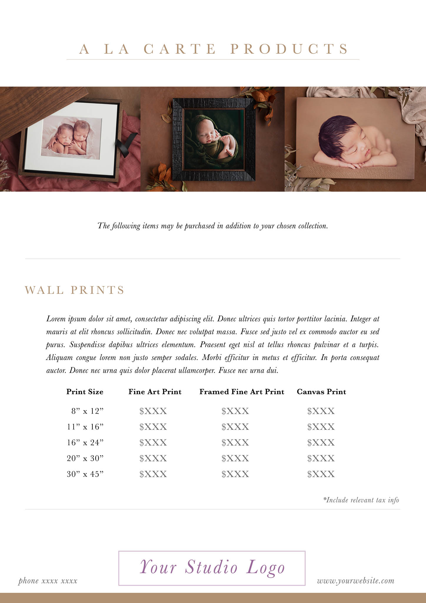 Price guide template Photoshop - kelly brown newborn posing