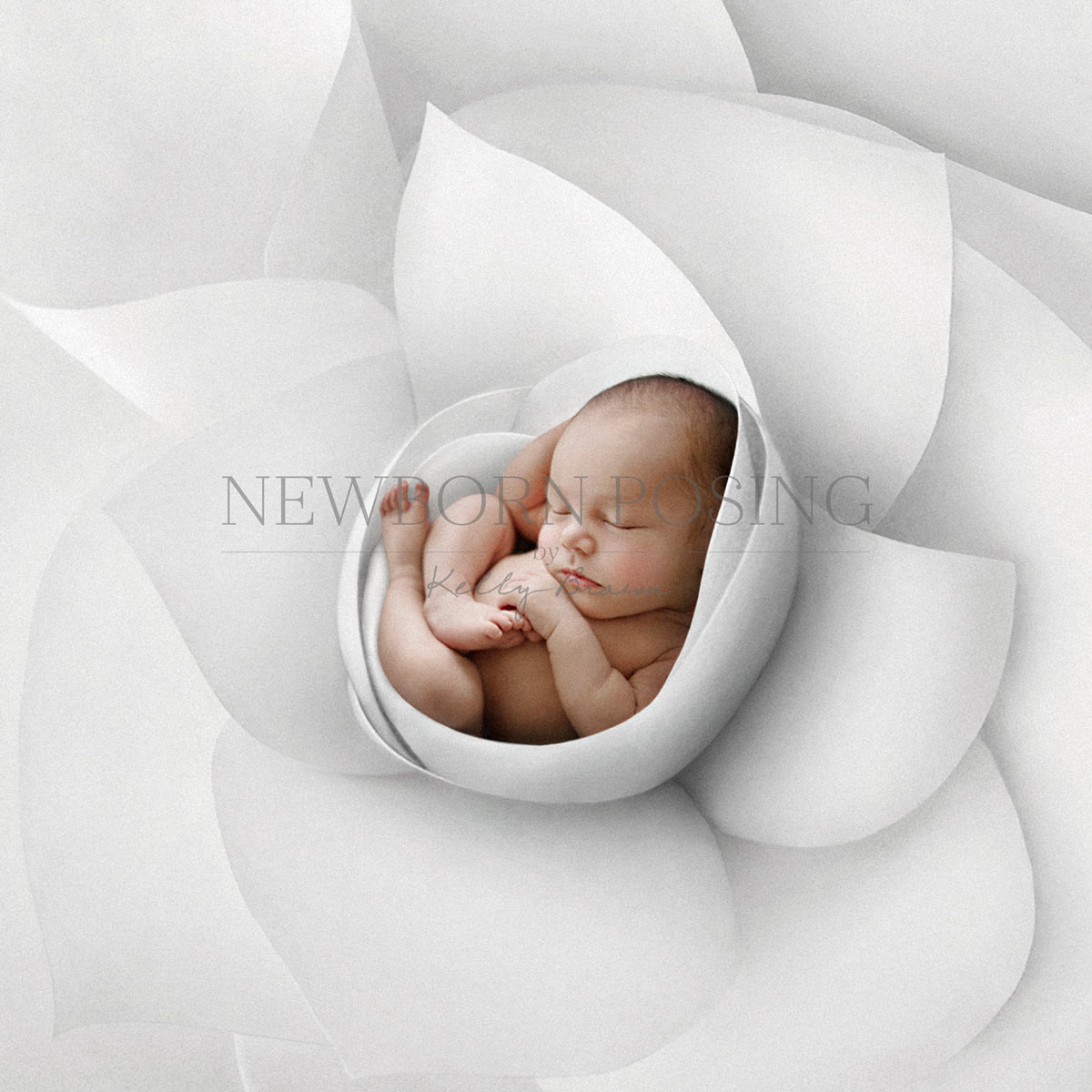 Newborn photography of baby in white flower