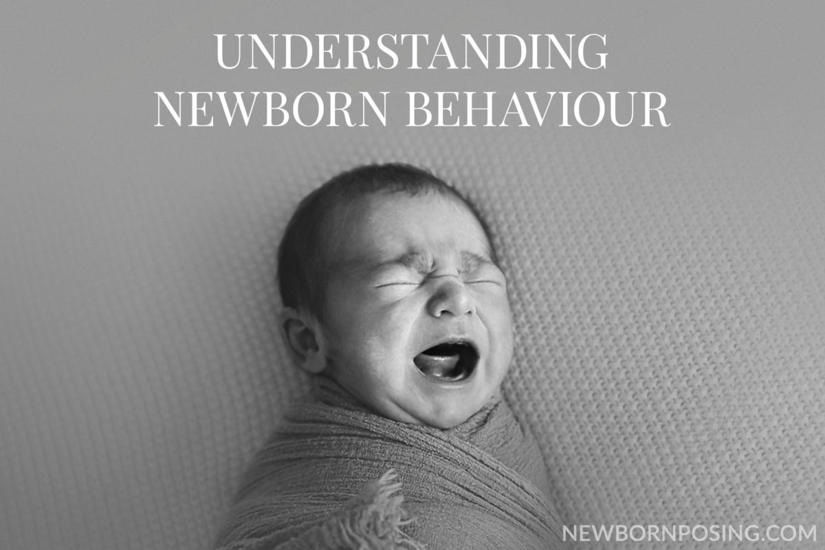 understanding newborn behaviour by kelly brown
