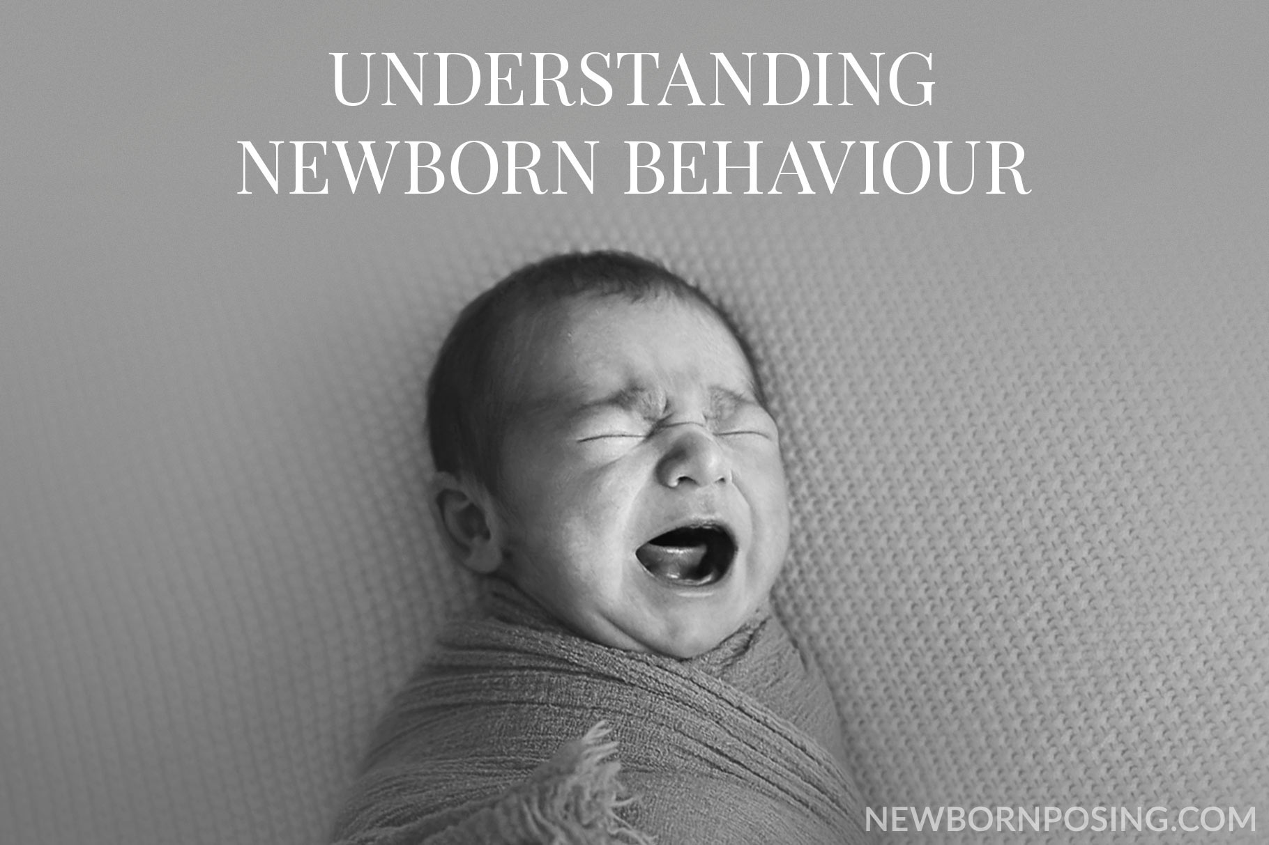 Understanding Newborn Behaviour Newborn Posing