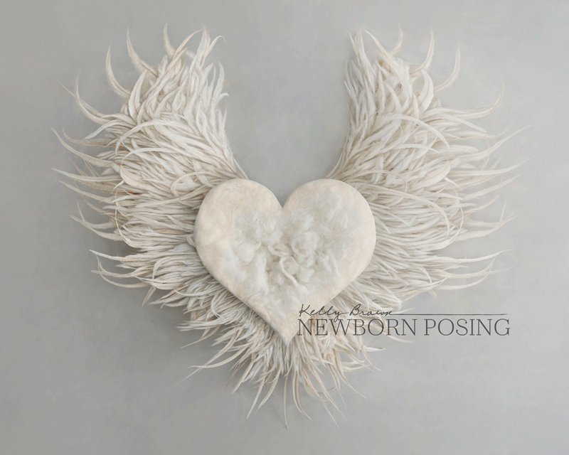 heart and wings digital background newborn 