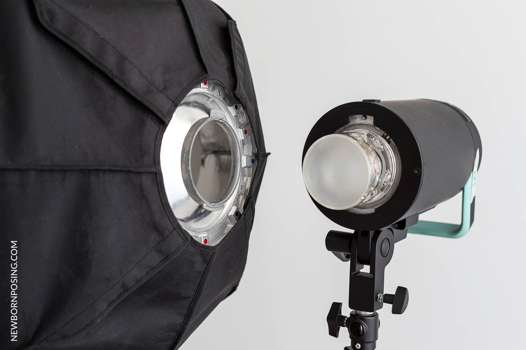 softboxes for newborn photography