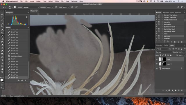 AWARD EDITING – 1 – Maternity Wings