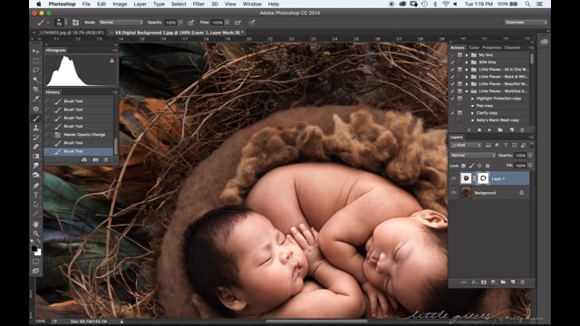 DIGITAL BACKGROUND – NEST on FEATHERS