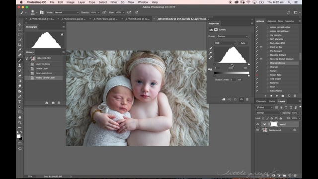 PHOTOSHOP FUNDAMENTALS – Using Levels