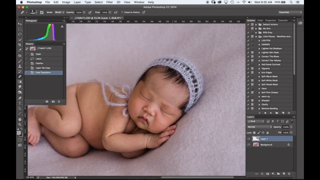 PHOTOSHOP FUNDAMENTALS – WARP Tool