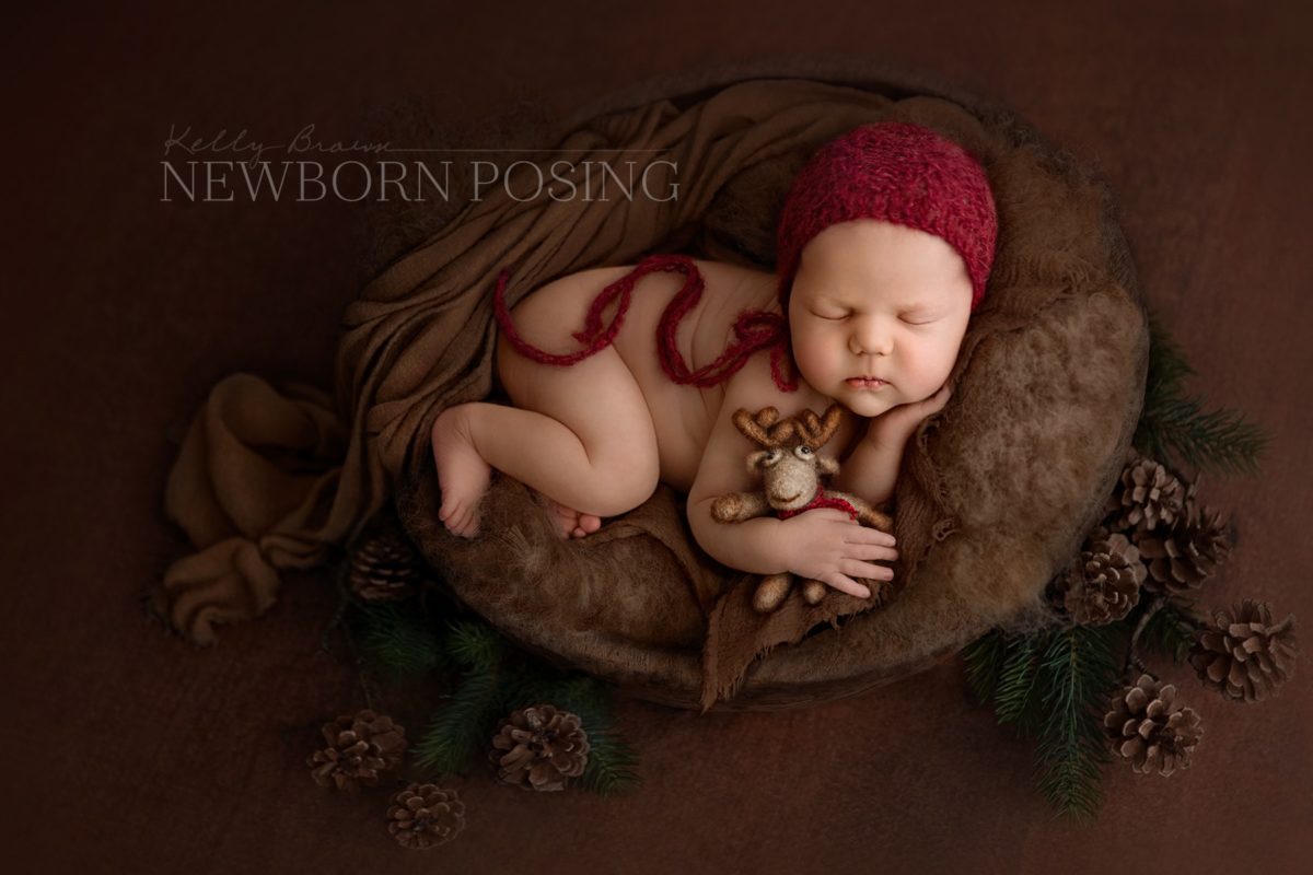 newborn photography by kelly brown
