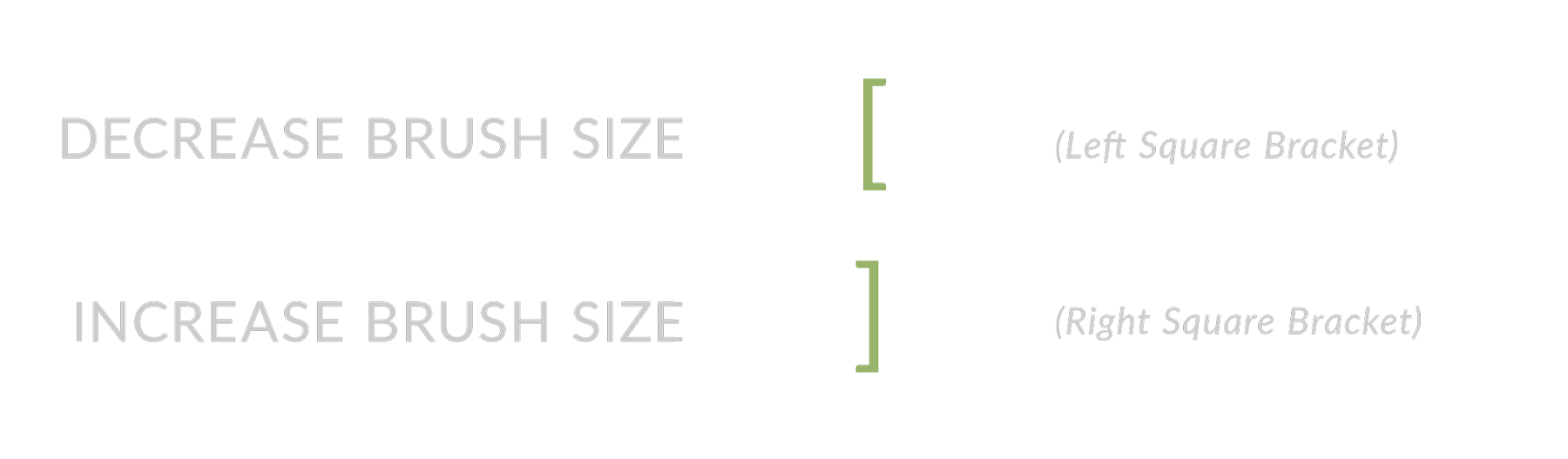 Brush Shortcuts and Tips Newborn Posing