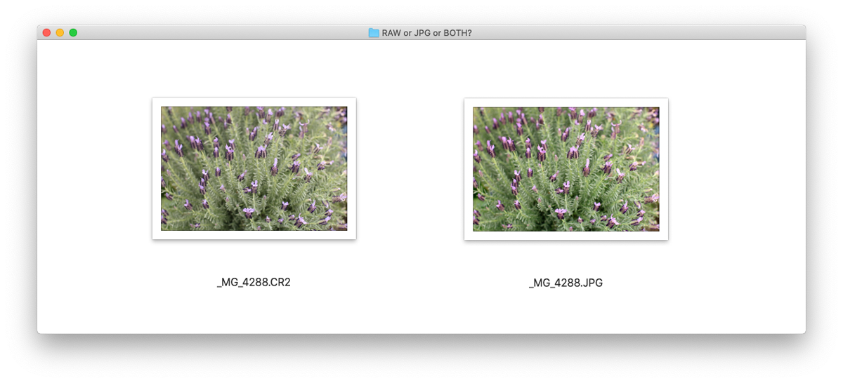 JPG or RAW - which image file format to use