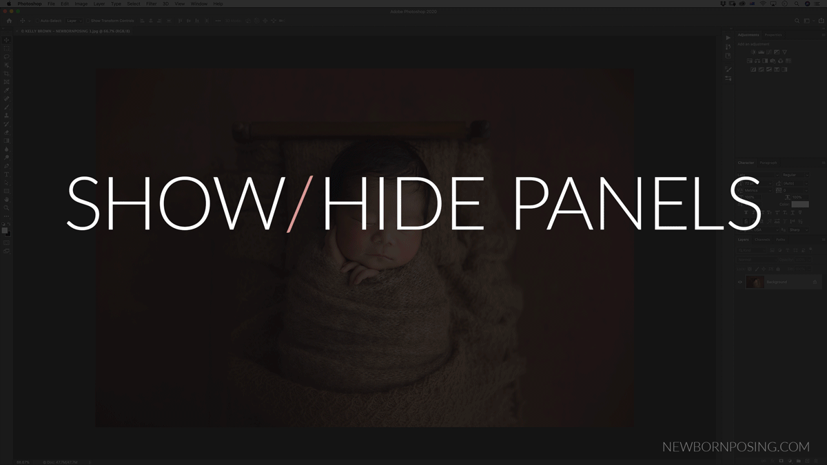 Hide or Show Window Panels