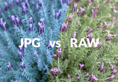 jpg vs raw image capture
