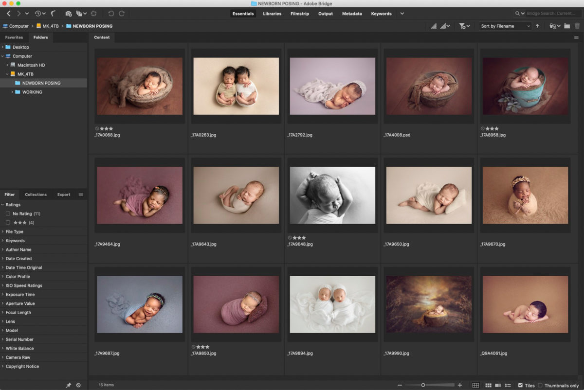 What is Adobe Bridge? Newborn Posing