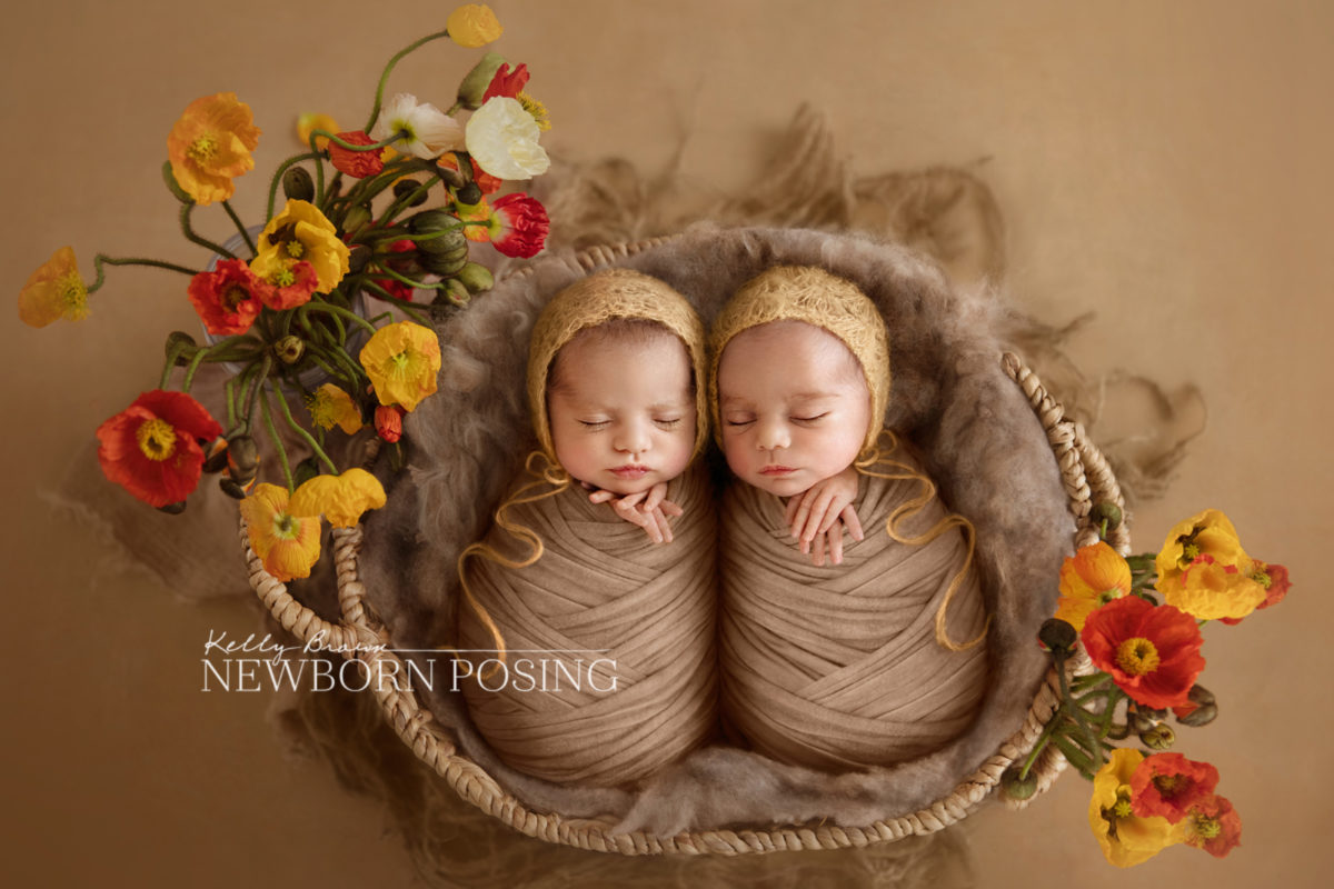 kelly brown newborn posing twins in analogous colour scheme