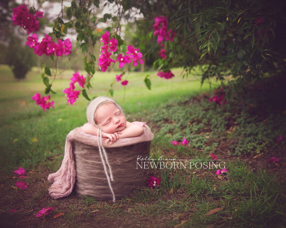 outdoor newborn photography kelly brown