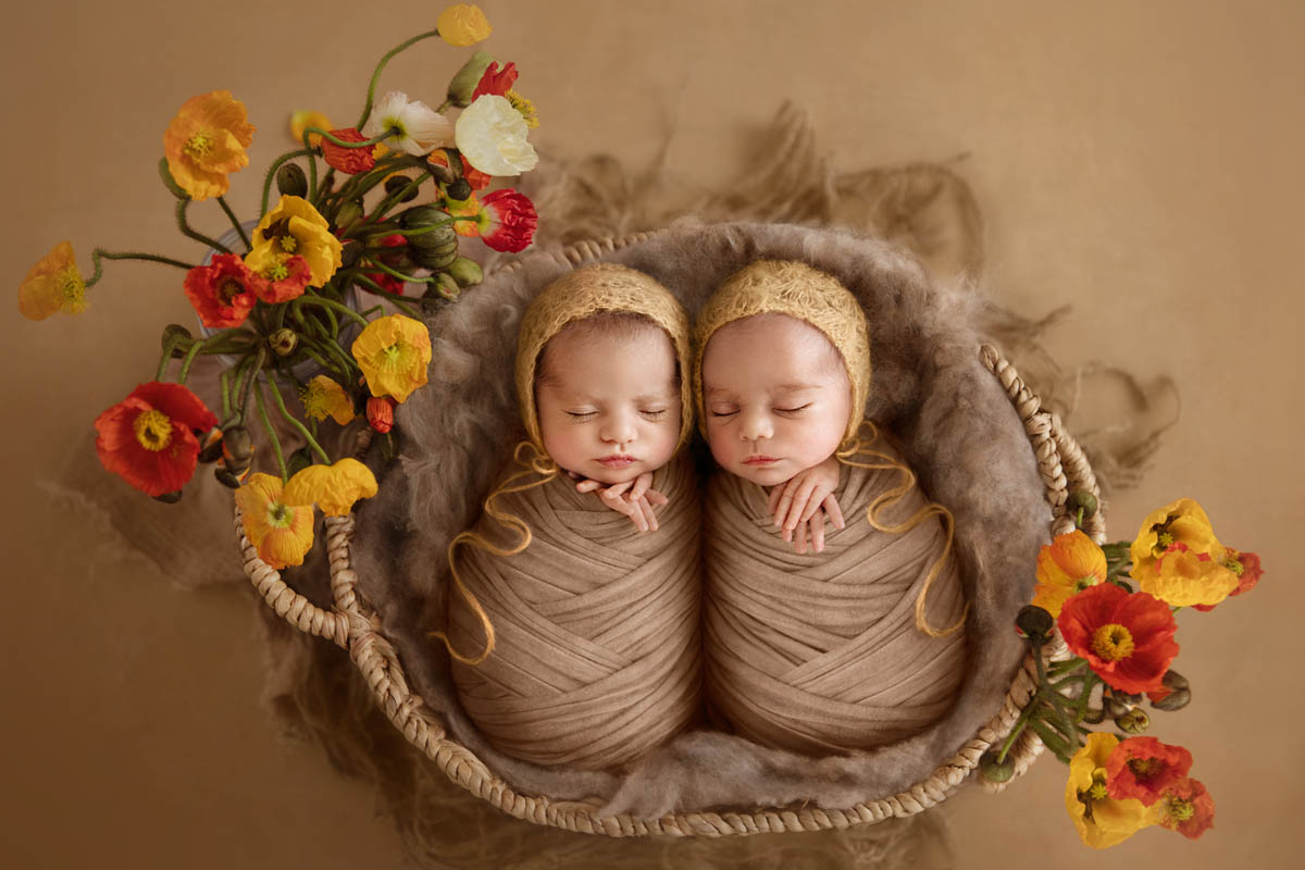 elements-of-art-in-photography-colour-newborn-posing