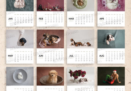 2021 printable calendar puppies