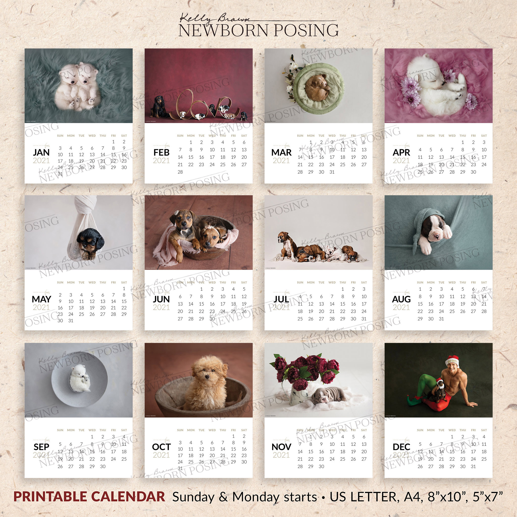 Puppy Calendar Download Newborn Posing