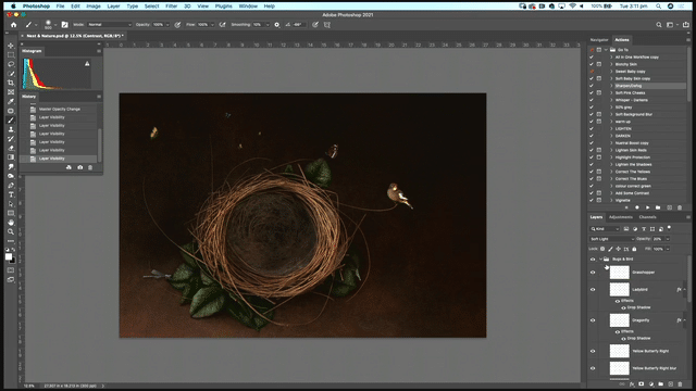 Nest & Nature – Editing Intro