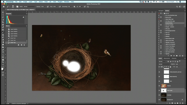 Nest & Nature – Editing Tutorial Lighting and Camera Settings